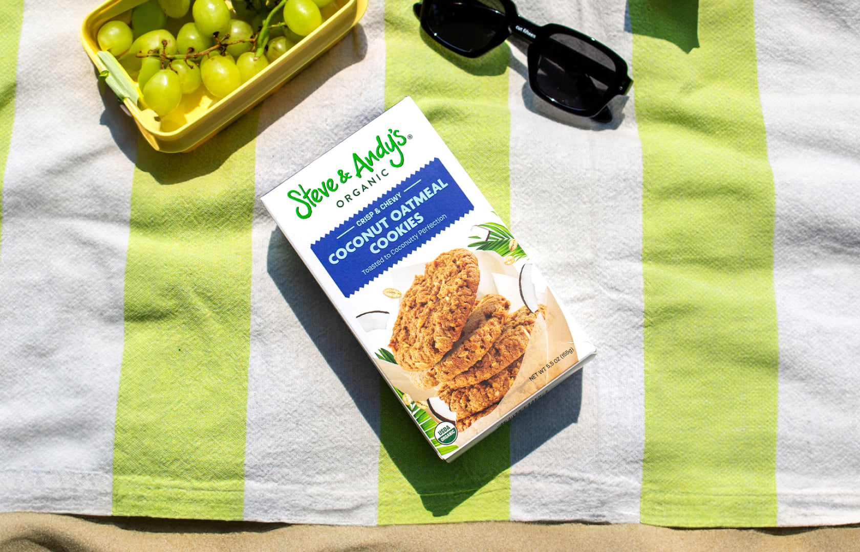 Gluten-free summer snacks including Steve & Andy’s cookies packed for a beach trip and road adventure.