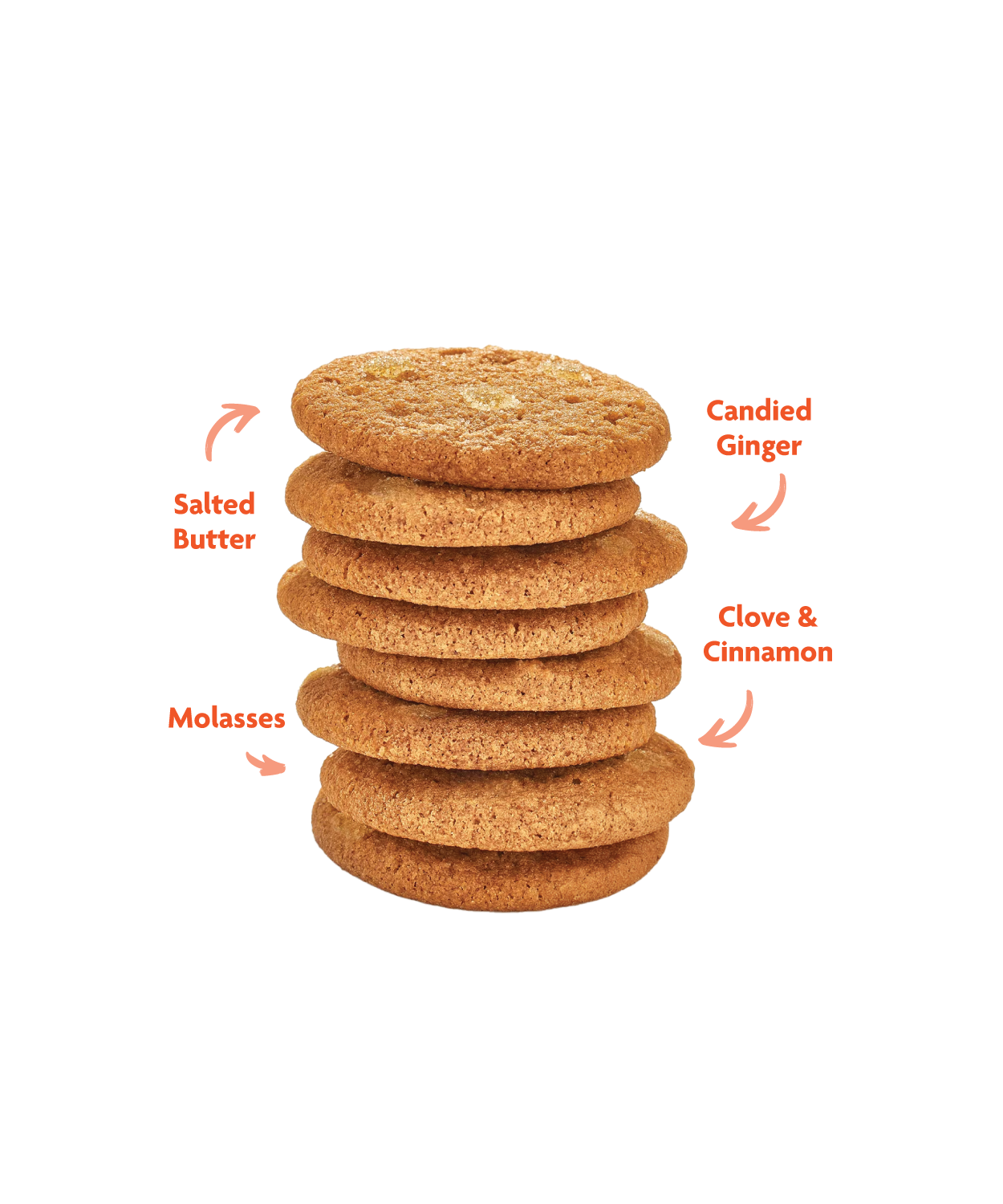 A pile of Steve & Andy's Organic Ginger Snap Cookies.